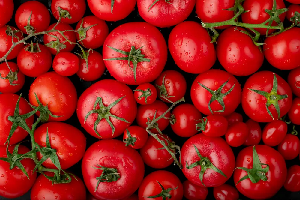 Tomatoes, with their high antioxidant content, support heart health, may reduce the risk of cancer and improve skin health.