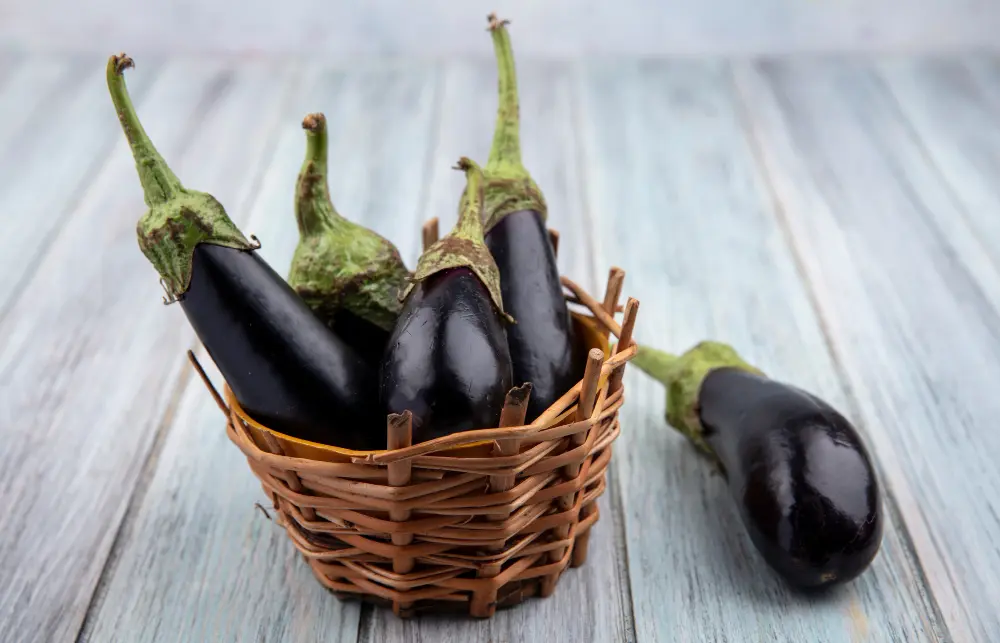 Aubergine supports digestive health with its fibre content and can reduce cellular damage thanks to antioxidants.